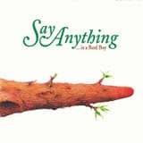 say-anything-real-boy