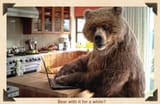 bear-computer