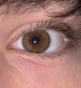 for-the-last-time-its-called-dark-hazel-brown-around-the-v0-h5phdkqx16o81