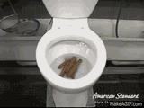 toilet