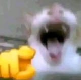 1745634432741760