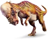 Pachycephalosaurus_right_mch8y6