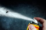 bug-spray