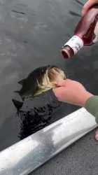 1720574298593221[1]_thumb.jpg