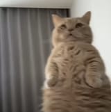 1749025466696299