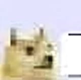 1245937489134