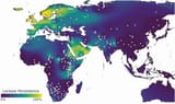 map-of-lactase-persistence-throughout-eurasia-and-africa-v0-rq47hzun0fob1-1