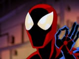 spooder