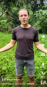 carnivore bitch tits