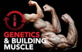 genetics-and-building-muscle_converted