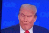 trump-mewing-sigma