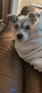 IMG_20250609_100143