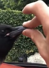 1734276989146525