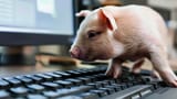 a-small-pig-standing-on-top-of-a-computer-keyboard-video