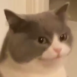 c&#039;est la vie