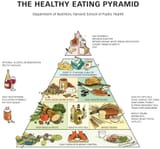 the healthy eating pyramid (bullshit)