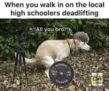 too-accurate-v0-cj21s2qm0aeb1