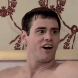 dumb-and-dumber-dumb-and-dumber-gif