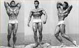 Reeves