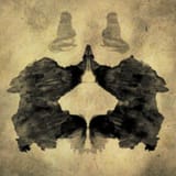 Two_Bears_High_Fiving