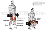 dumbbell-squat-resized-FIXED