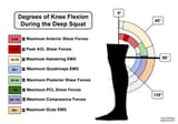 degrees_knee_flexion