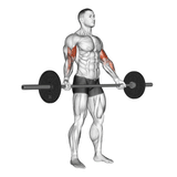 wide-grip-barbell-curls