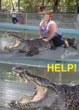 gator