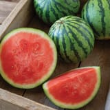 watermelon