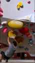 for fit2 (2) (1)_thumb.jpg