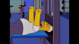 homer-gym