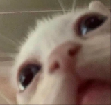1627450403263