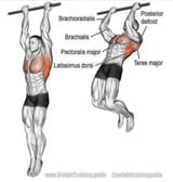 are_chin_ups_better_than_pull_ups_480x480