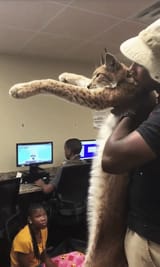 Screenshot_20250629_215339_Firefox