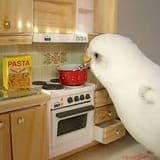 images(81)