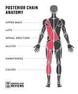posterior-chain-anatomy-860x1024