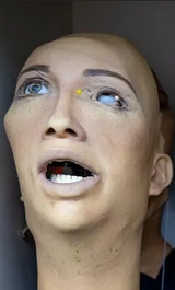 se