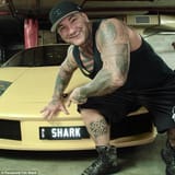 sharklad