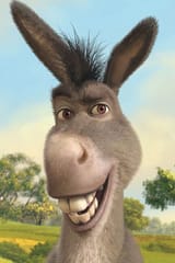 what-music-do-you-think-donkey-listens-to-v0-gg07p5hixrtb1
