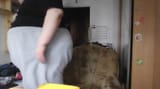 1743237846981712