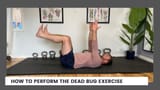 Dead+Bug+Exercise+For+Beginners-823454843