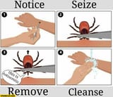 remove-tick-safely-parasite-antisemitic