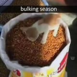 bulker