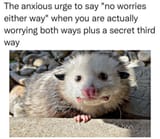 worriesyes2