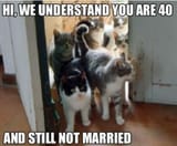 cats-lady-40-unmarried