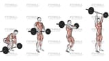 full body workout