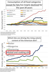 seed oils