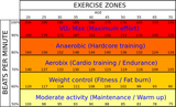 heart-rate-zone-training-with-wearables