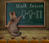 cat-teacher-writes-mathematical-equation-blackboard-classroom-teaches-math-to-students-121146709 (1)
