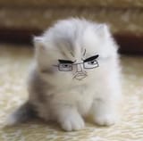 Thread image
